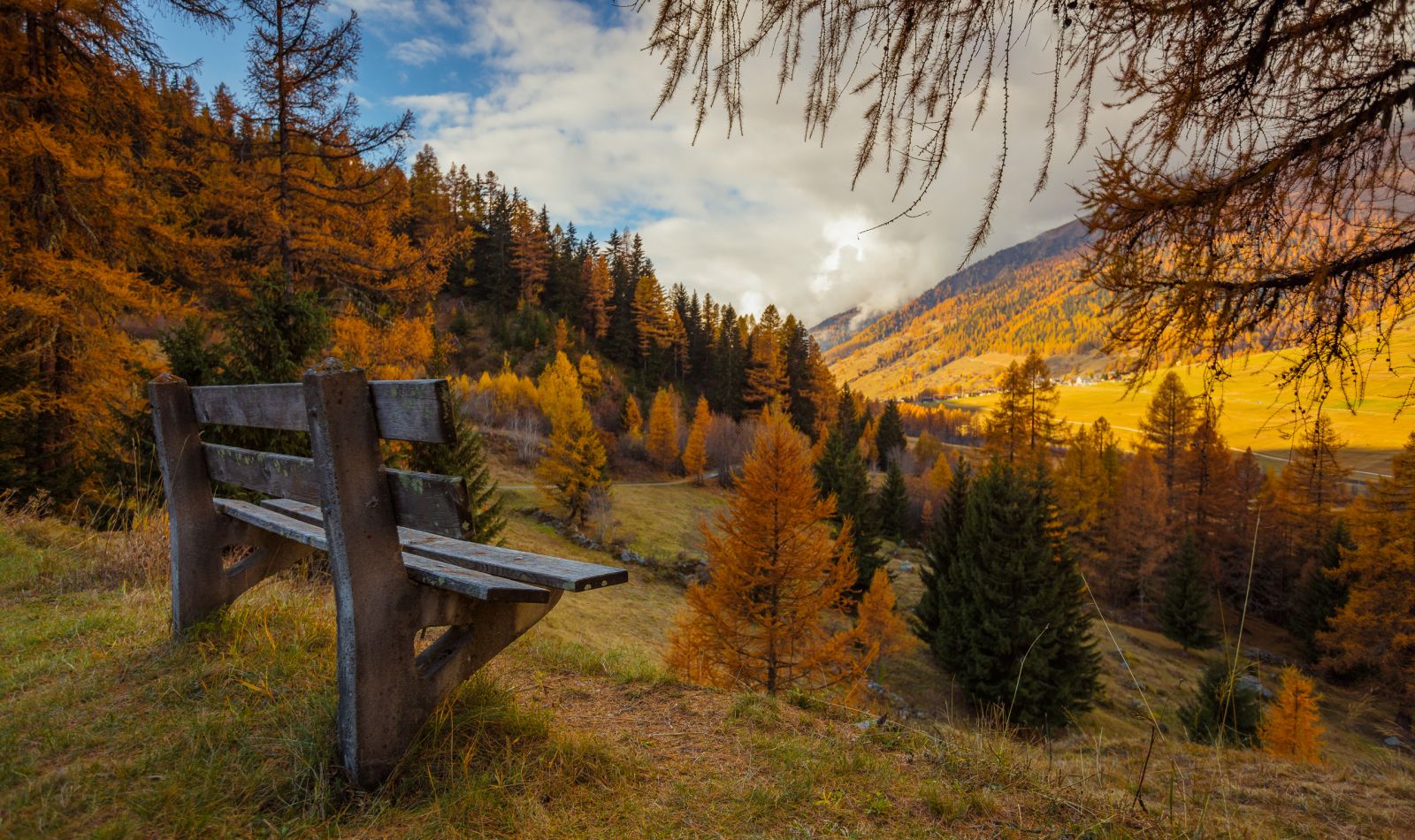Die goldrichtige Jahreszeit
